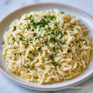 Creamy Garlic Parmesan Orzo in 20 Minutes Recipe Card