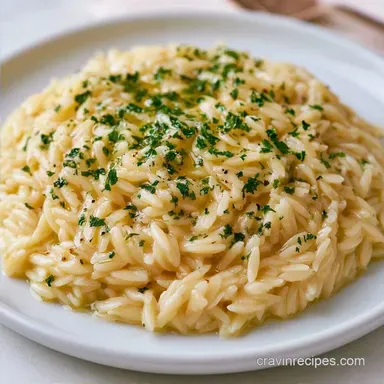 Creamy Garlic Parmesan Orzo in 20 Minutes