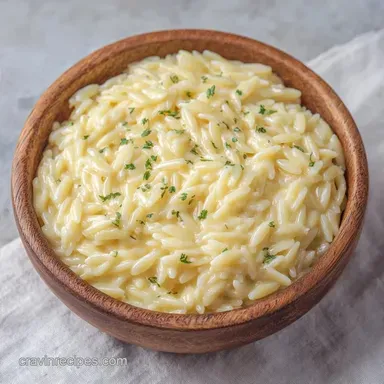 Creamy Parmesan Orzo Pasta One-Pot