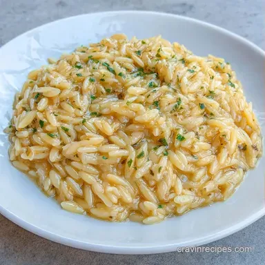 Easy Garlic Orzo Pasta: One-Pot Recipe Card