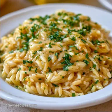 Fifteen Minute Orzo Pasta for 4 Servings