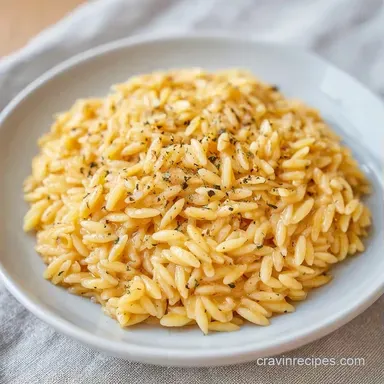 Quick Parmesan Garlic Orzo in 25 Minutes Recipe Card