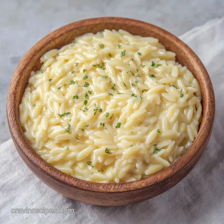 Creamy Parmesan Orzo Pasta: One-Pot Comfort